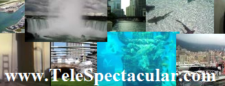 www.TeleSpectacular.com
